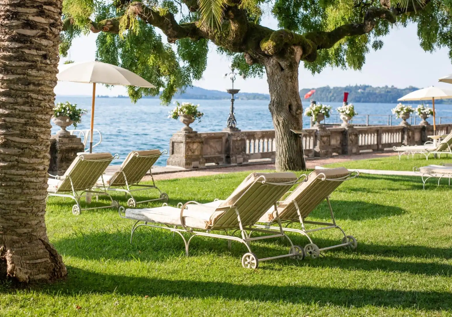Loungers on green lawn with lake view